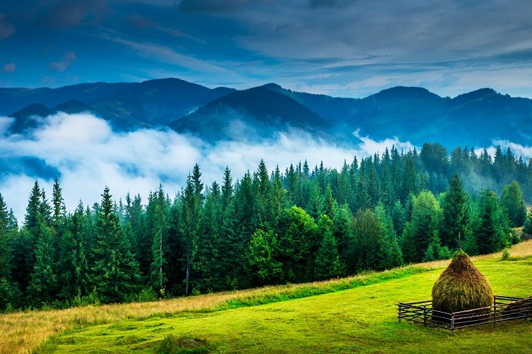 Bucovina, peisaje de vis din România