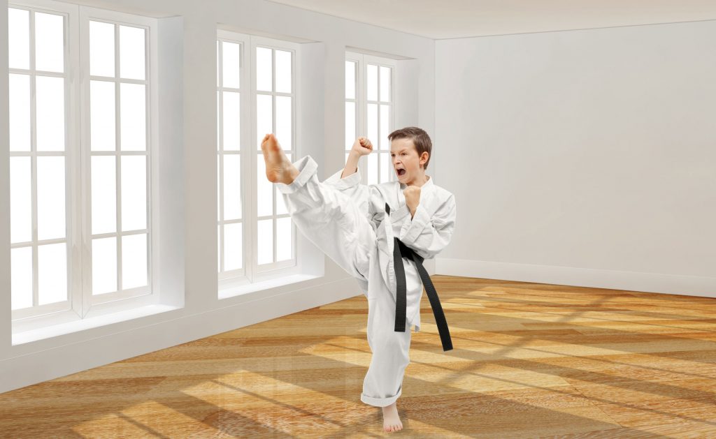 arte marțiale copii