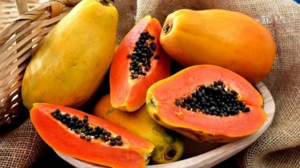 papaya