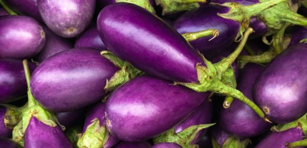 Vinetele: Top 6 beneficii pe care le pot aduce sănătății