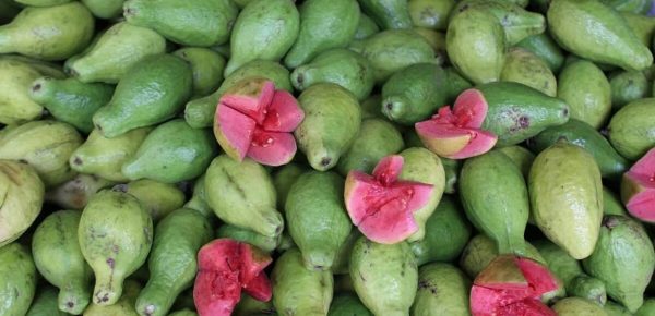 Guava: Top 8 beneficii pe care le poate aduce sănătății
