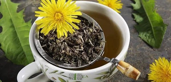 Păpădia: Top 13 beneficii pe care le poate aduce sănătății