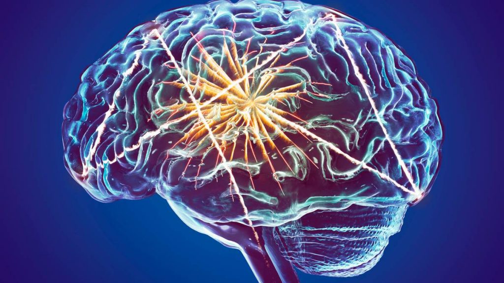 creierul îndrăgostit