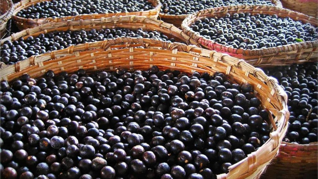 acai