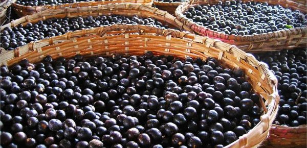 Acai: Top 5 beneficii pe care le poate aduce sănătății