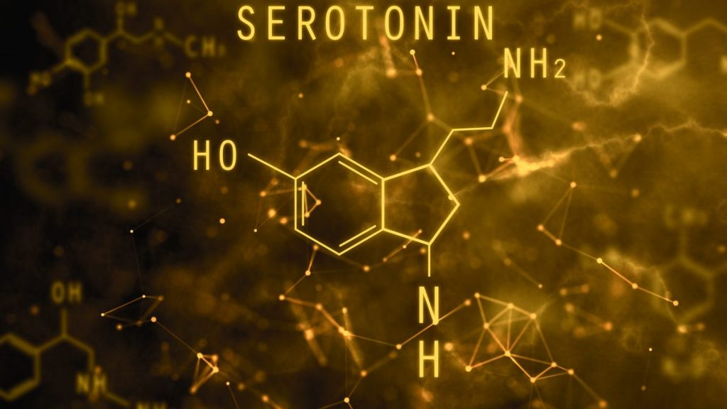 serotonina