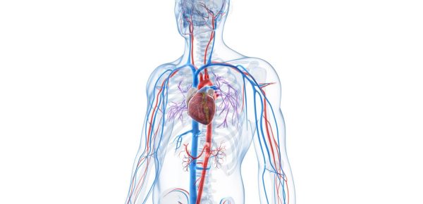 <strong>Alimente care deblochează arterele și care previn atacul de cord</strong>