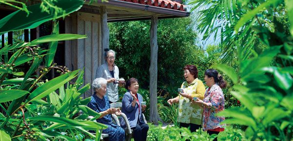 Ogimi: satul japonez în care se găsește rețeta secretă a longevității