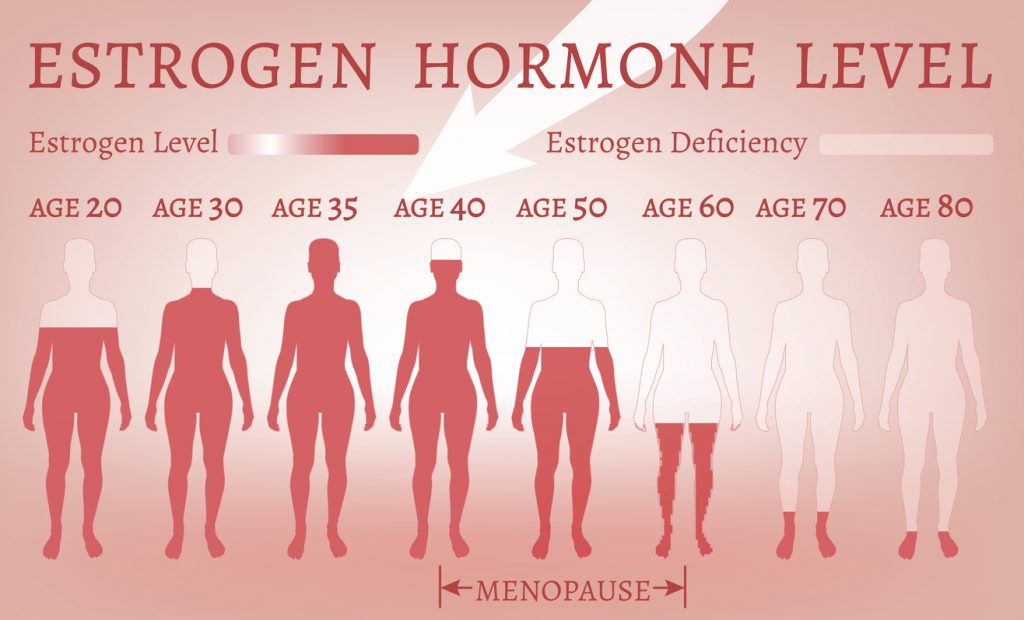 estrogen